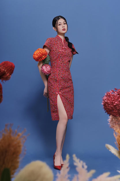 Ruyu Orient Qipao Dress