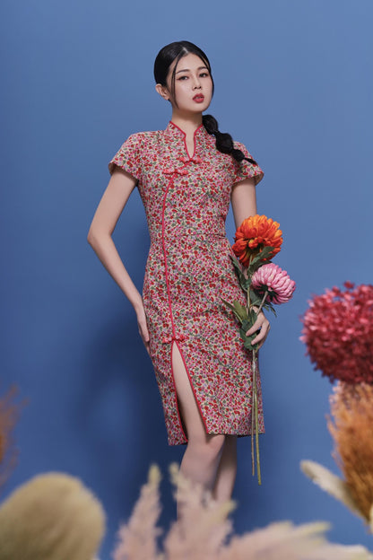 Ruyu Orient Qipao Dress