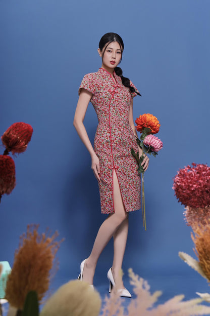 Ruyu Orient Qipao Dress