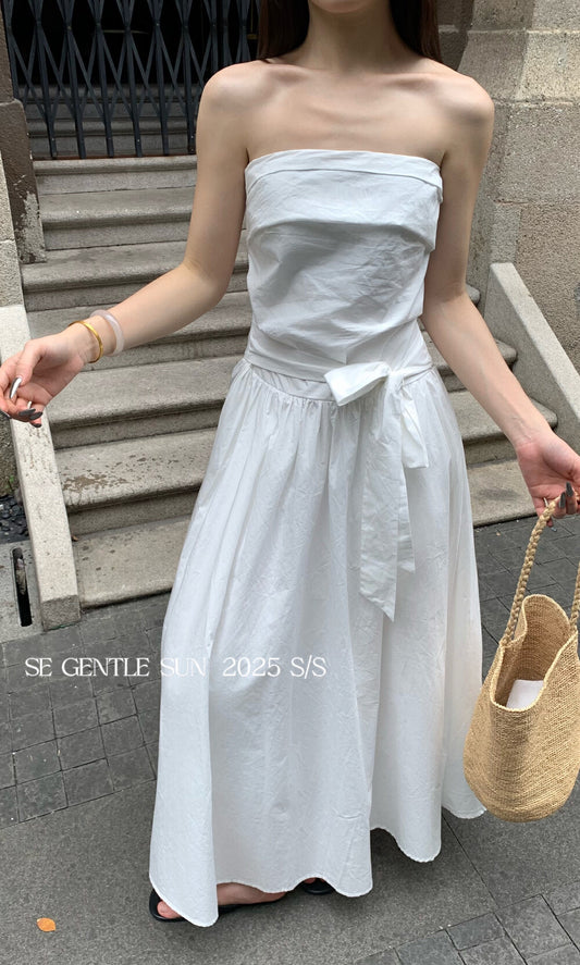 Gina A-line Tube Dress