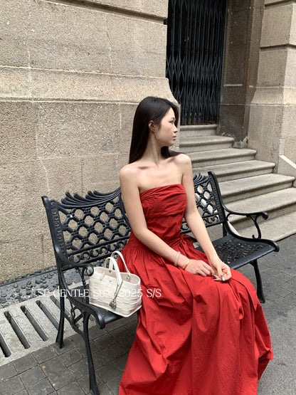 Gina A-line Tube Dress