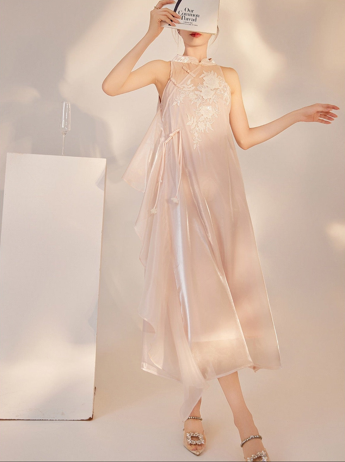 Liu Orient Embroidery Dress