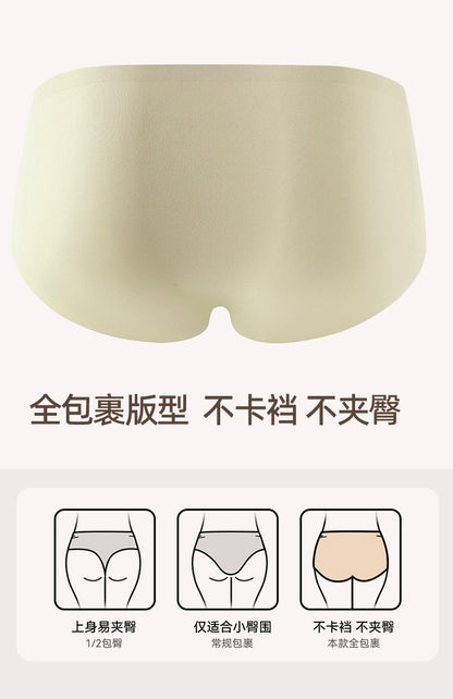 Amy Seamless Panties