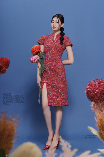 Ruyu Orient Qipao Dress