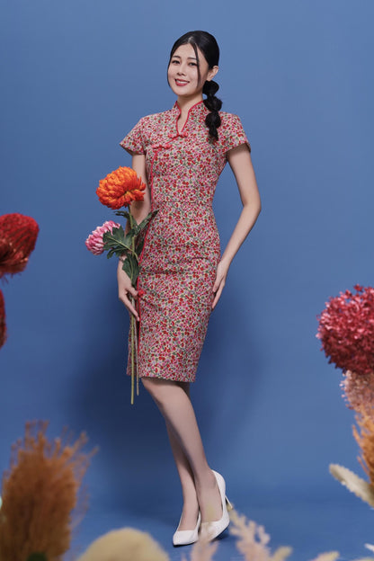 Ruyu Orient Qipao Dress