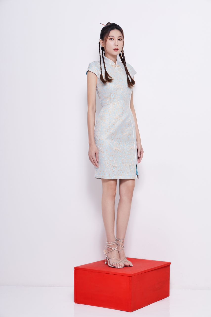 Fen Qipao Dress