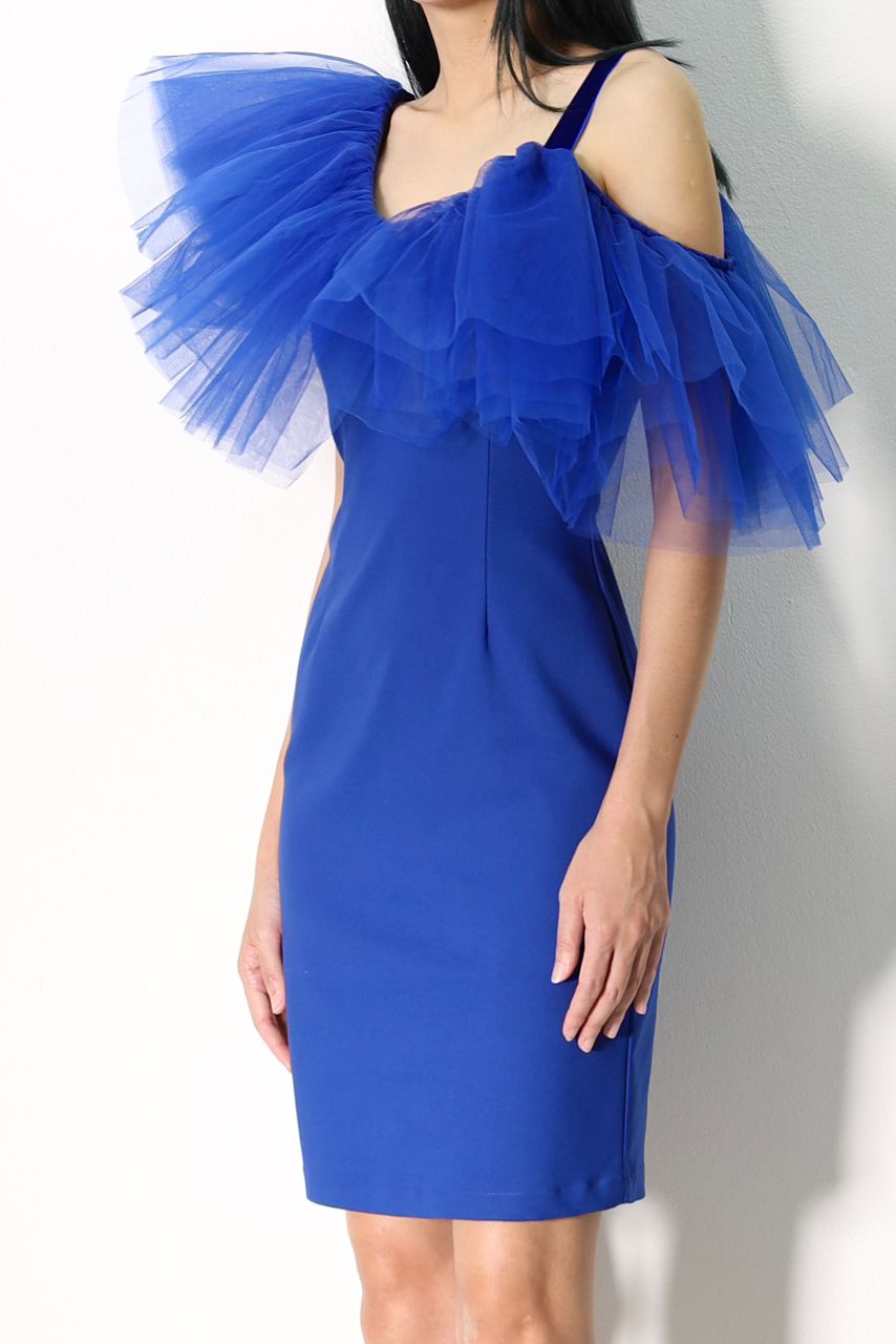 Betty Evening Tulle Dress